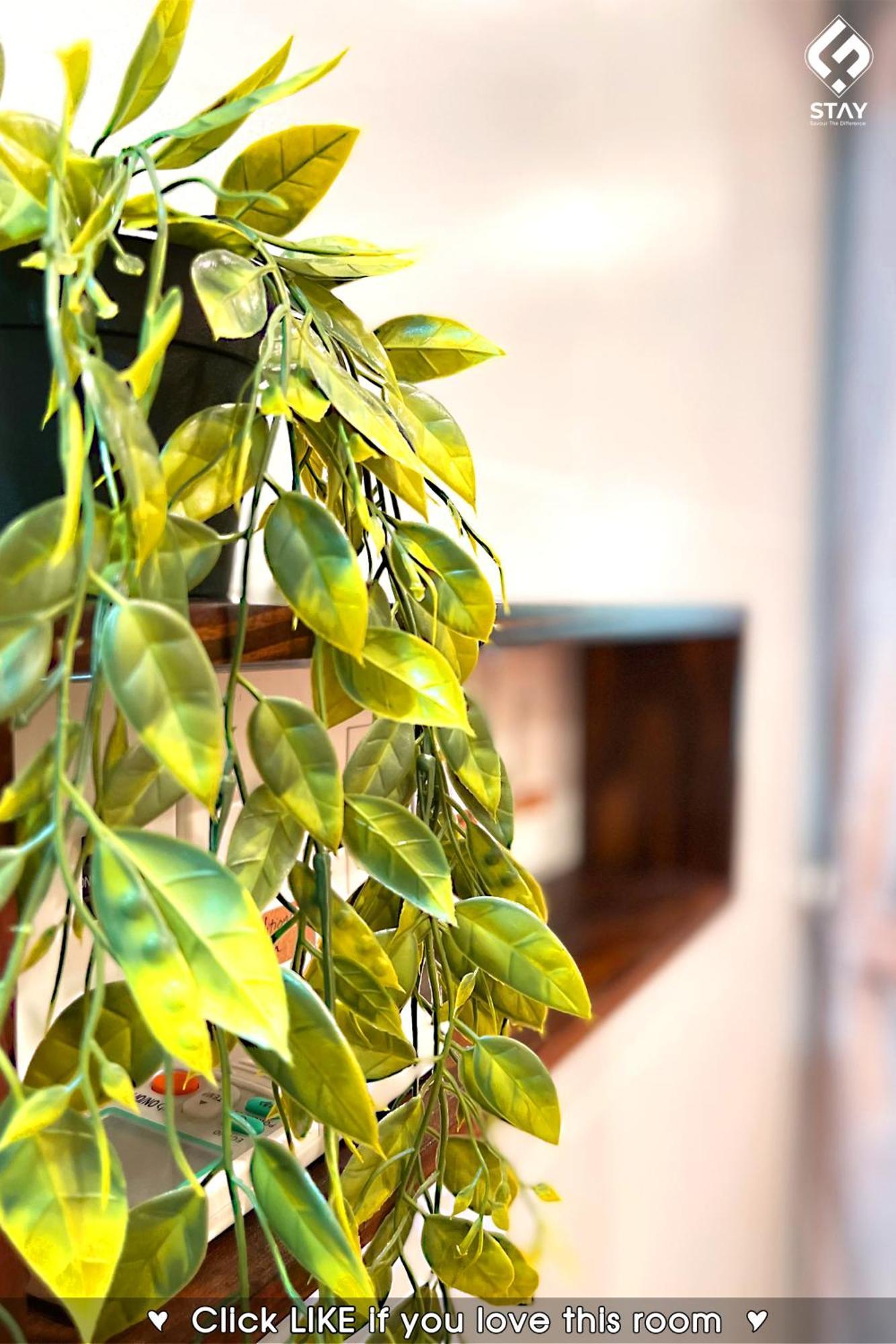 Fstay Garden Corner - Cozy And Peaceful Homestay In Đà Nẵng Ngoại thất bức ảnh